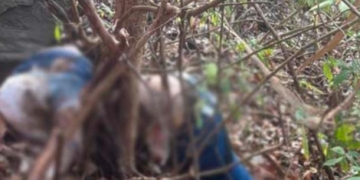 ಗುಡ್ಡದ ಮೇಲಿಂದ ಹಾರಿ ಯುವಕ ಆತ್ಮಹತ್ಯೆ