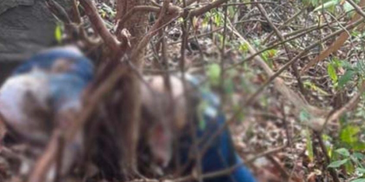 ಗುಡ್ಡದ ಮೇಲಿಂದ ಹಾರಿ ಯುವಕ ಆತ್ಮಹತ್ಯೆ