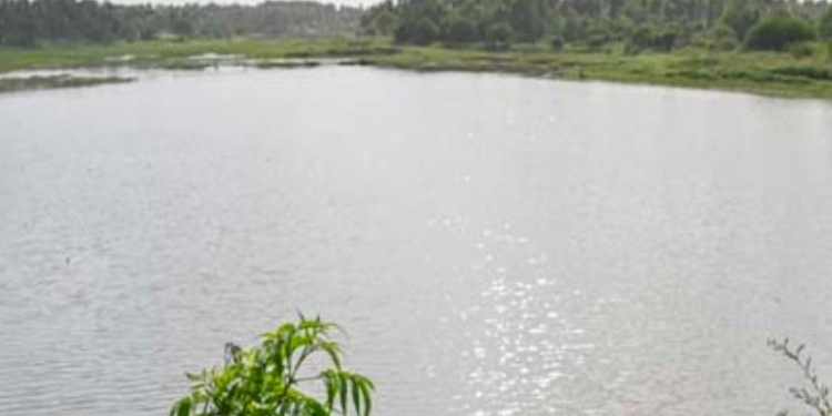 ಪುಟ್ಟ ಮಗುವಿನ ಶವ ತೇಲುತ್ತಿರುವ‌ ಸ್ಥಿತಿಯಲ್ಲಿ ಕೆರೆಯಲ್ಲಿ ಪತ್ತೆ