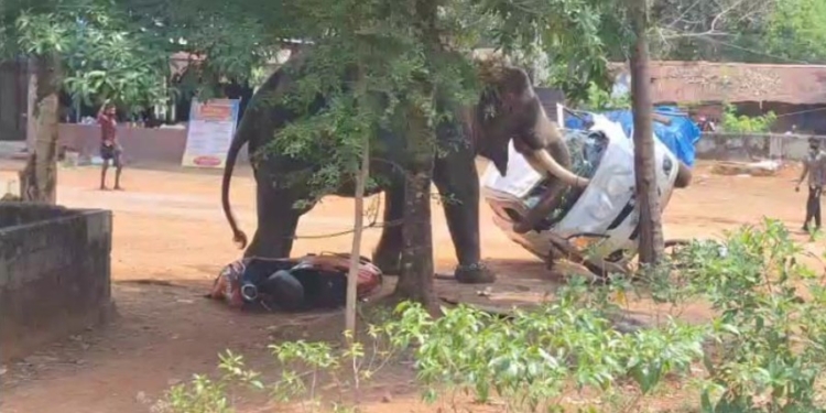 ದೇವಸ್ಥಾನದ ಉತ್ಸವಕ್ಕೆ ಕರೆತಂದ ಆನೆಗೆ ಮದವೇರಿ ರಂಪಾಟ : ಮಾವುತ ಬಲಿ, ಸಹ ಮಾವುತ ಗಂಭೀರ