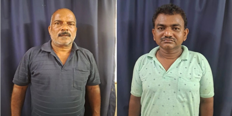 ದನಗಳ ಅಕ್ರಮ ಸಾಗಾಟ : ಇಬ್ಬರ ಬಂಧನ