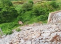 ಉಪ್ಪಿನಂಗಡಿ : 70 ಅಡಿ ಆಳದ ಕಂದಕಕ್ಕೆ ಉರುಳಿದ ಕಾರು